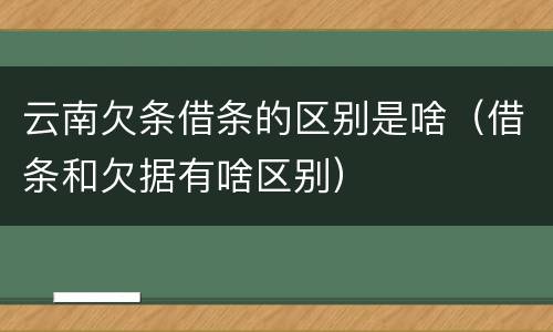 云南欠条借条的区别是啥（借条和欠据有啥区别）