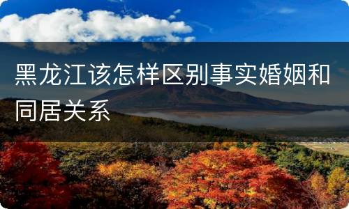黑龙江该怎样区别事实婚姻和同居关系
