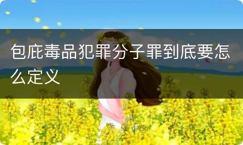 包庇毒品犯罪分子罪到底要怎么定义