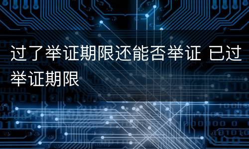 过了举证期限还能否举证 已过举证期限