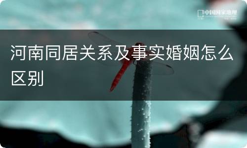 河南同居关系及事实婚姻怎么区别