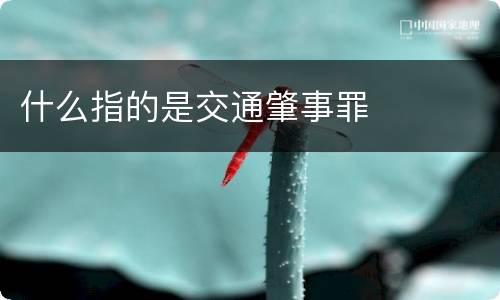 什么指的是交通肇事罪