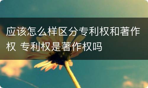 应该怎么样区分专利权和著作权 专利权是著作权吗