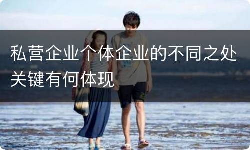 私营企业个体企业的不同之处关键有何体现