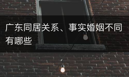 广东同居关系、事实婚姻不同有哪些