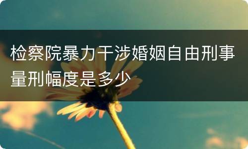 检察院暴力干涉婚姻自由刑事量刑幅度是多少