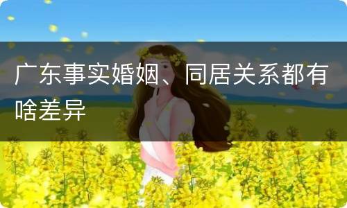 广东事实婚姻、同居关系都有啥差异