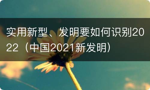 实用新型、发明要如何识别2022（中国2021新发明）