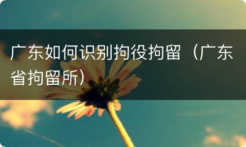 广东如何识别拘役拘留（广东省拘留所）