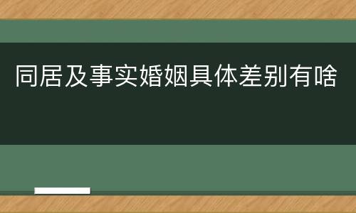 同居及事实婚姻具体差别有啥