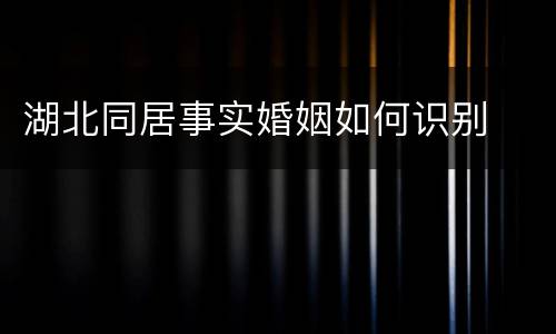 湖北同居事实婚姻如何识别