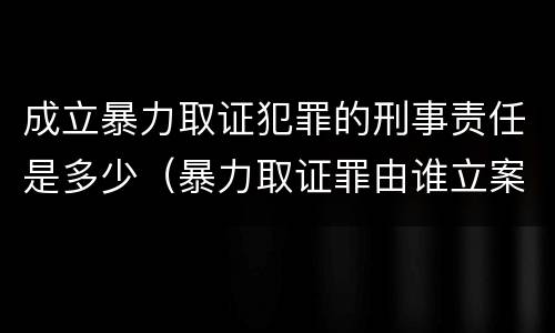 成立暴力取证犯罪的刑事责任是多少（暴力取证罪由谁立案侦查）