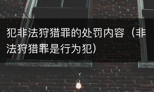 犯非法狩猎罪的处罚内容（非法狩猎罪是行为犯）