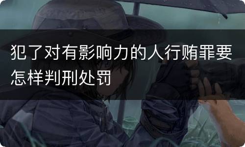 犯了对有影响力的人行贿罪要怎样判刑处罚