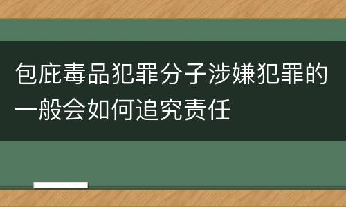 包庇毒品犯罪分子涉嫌犯罪的一般会如何追究责任