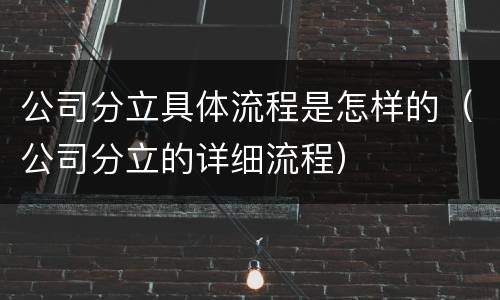公司分立具体流程是怎样的（公司分立的详细流程）
