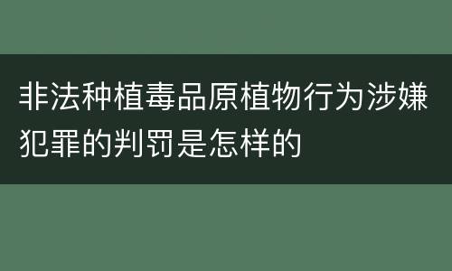 非法种植毒品原植物行为涉嫌犯罪的判罚是怎样的