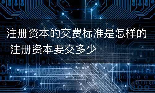 注册资本的交费标准是怎样的 注册资本要交多少
