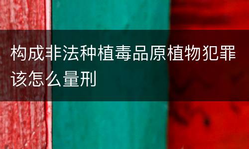 构成非法种植毒品原植物犯罪该怎么量刑
