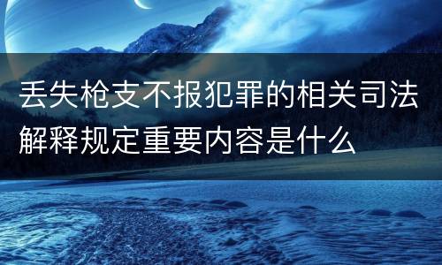 丢失枪支不报犯罪的相关司法解释规定重要内容是什么