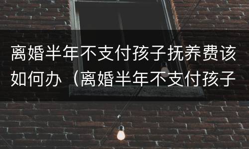 离婚半年不支付孩子抚养费该如何办（离婚半年不支付孩子抚养费该如何办理）