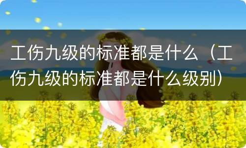 工伤九级的标准都是什么（工伤九级的标准都是什么级别）