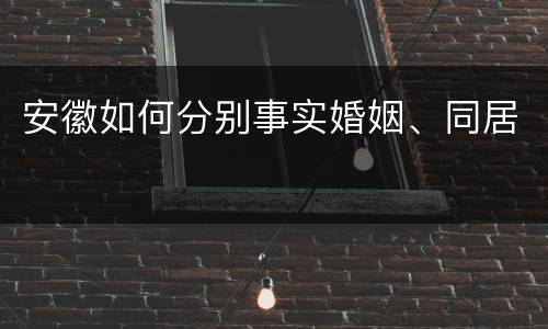 安徽如何分别事实婚姻、同居