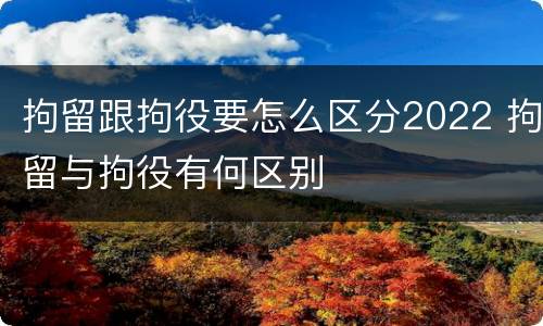 拘留跟拘役要怎么区分2022 拘留与拘役有何区别