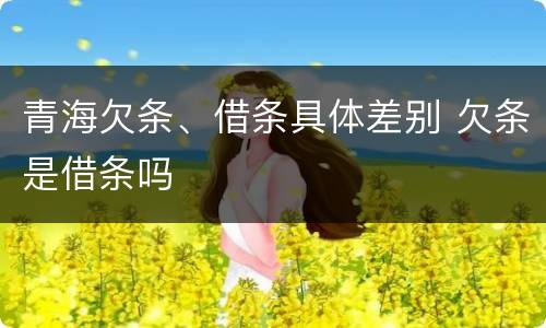 青海欠条、借条具体差别 欠条是借条吗