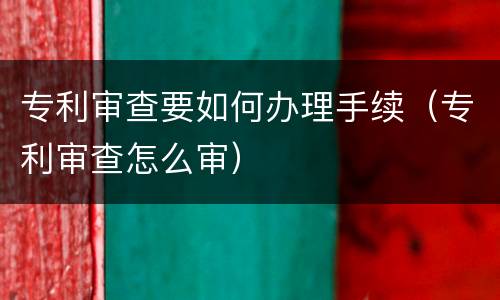 专利审查要如何办理手续（专利审查怎么审）
