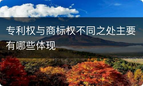 专利权与商标权不同之处主要有哪些体现
