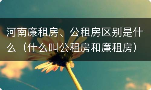河南廉租房、公租房区别是什么（什么叫公租房和廉租房）