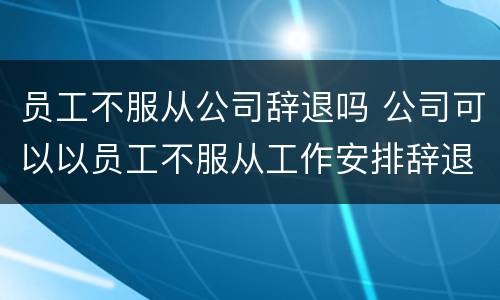员工不服从公司辞退吗 公司可以以员工不服从工作安排辞退员工么