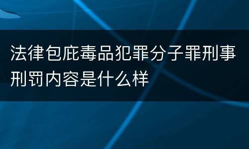 法律包庇毒品犯罪分子罪刑事刑罚内容是什么样
