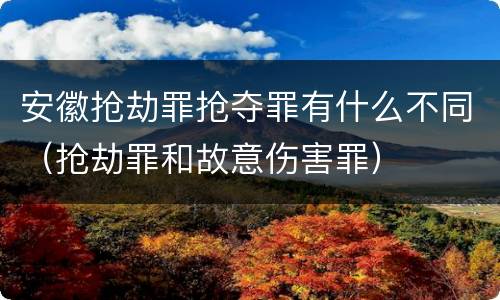 安徽抢劫罪抢夺罪有什么不同（抢劫罪和故意伤害罪）