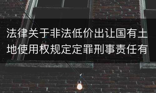 法律关于非法低价出让国有土地使用权规定定罪刑事责任有哪些