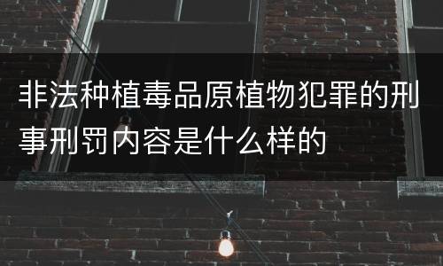 非法种植毒品原植物犯罪的刑事刑罚内容是什么样的