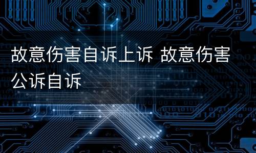 故意伤害自诉上诉 故意伤害 公诉自诉