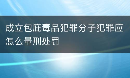 成立包庇毒品犯罪分子犯罪应怎么量刑处罚