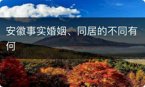 安徽事实婚姻、同居的不同有何