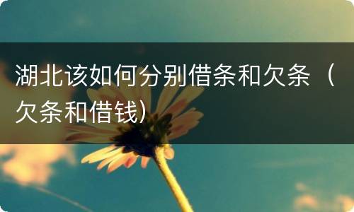 湖北该如何分别借条和欠条（欠条和借钱）