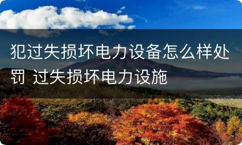 犯过失损坏电力设备怎么样处罚 过失损坏电力设施