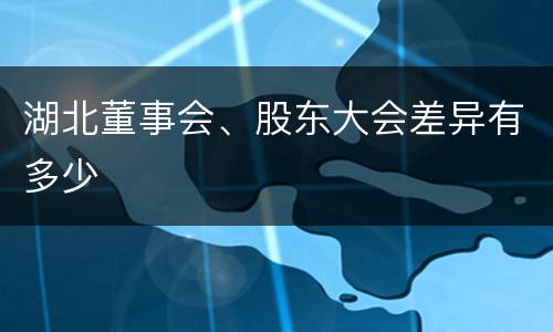 湖北董事会、股东大会差异有多少