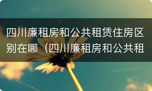四川廉租房和公共租赁住房区别在哪（四川廉租房和公共租赁住房区别在哪些地方）