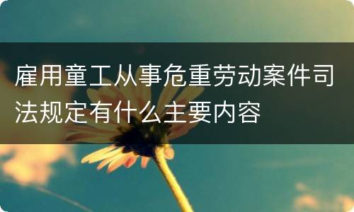 雇用童工从事危重劳动案件司法规定有什么主要内容