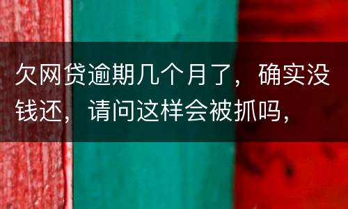 欠网贷逾期几个月了，确实没钱还，请问这样会被抓吗，