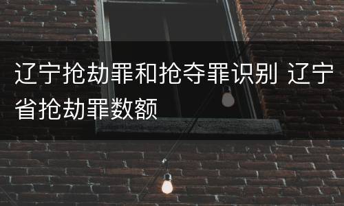 辽宁抢劫罪和抢夺罪识别 辽宁省抢劫罪数额