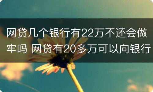 网贷几个银行有22万不还会做牢吗 网贷有20多万可以向银行贷款吗?