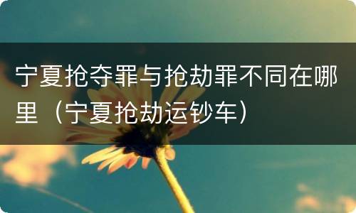 宁夏抢夺罪与抢劫罪不同在哪里（宁夏抢劫运钞车）