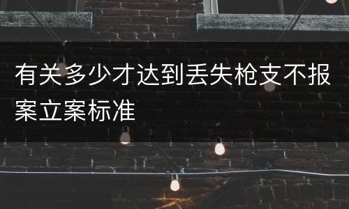 有关多少才达到丢失枪支不报案立案标准